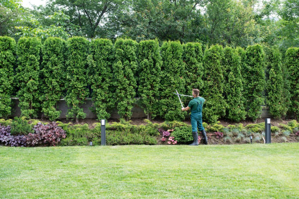 Best Lawn Mowing Services  in Oak Valley, NJ